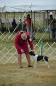 Enlarge photo 4
