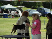Enlarge photo 5