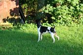 Enlarge photo 15
