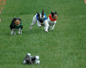 Enlarge photo 14