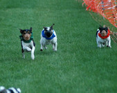 Enlarge photo 15