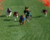 Enlarge photo 9