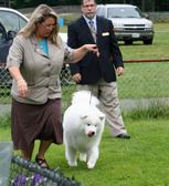 Enlarge photo 24