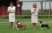 Enlarge photo 16