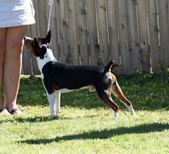 Enlarge photo 8