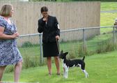 Enlarge photo 7