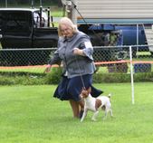 Enlarge photo 18