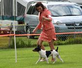 Enlarge photo 20