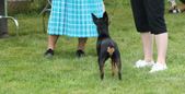Enlarge photo 14