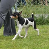 Enlarge photo 22