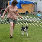 Enlarge photo 14