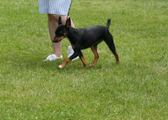 Enlarge photo 8