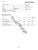 Enlarge PDF 11