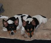 Enlarge photo 11
