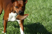 Enlarge photo 12