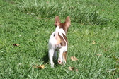 Enlarge photo 13