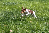 Enlarge photo 16