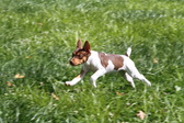 Enlarge photo 18