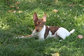 Enlarge photo 15