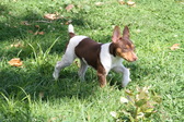 Enlarge photo 12