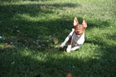 Enlarge photo 11