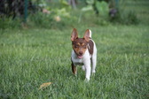 Enlarge photo 8