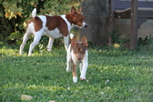 Enlarge photo 6