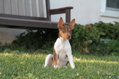 <b> Sophie </b>