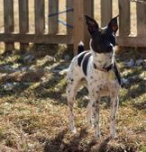 <b>Maggie May</b>