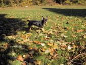 Enlarge photo 15