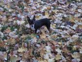 Enlarge photo 12