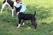 Enlarge photo 15