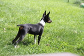 Enlarge photo 8