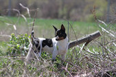 Enlarge photo 17