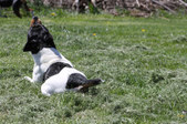 Enlarge photo 21