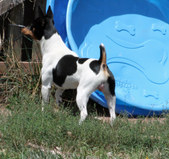 Enlarge photo 12