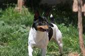 Enlarge photo 23