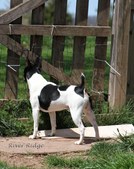 Enlarge photo 24