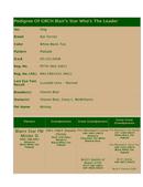 Enlarge HTML Document 2