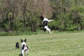 Enlarge photo 6
