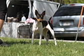 Enlarge photo 17