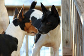 Enlarge photo 16