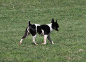Enlarge photo 12