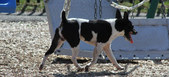 Enlarge photo 14