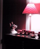 Enlarge photo 4