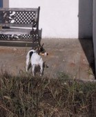 Enlarge photo 15