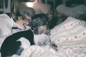 Enlarge photo 11