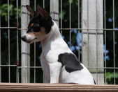 Enlarge photo 24
