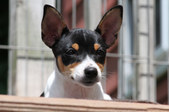 Enlarge photo 15