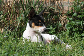Enlarge photo 13